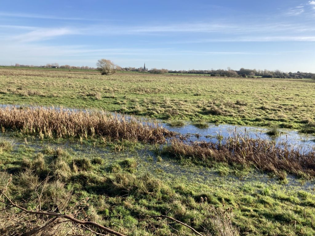 View towards Over from the Great Ouse